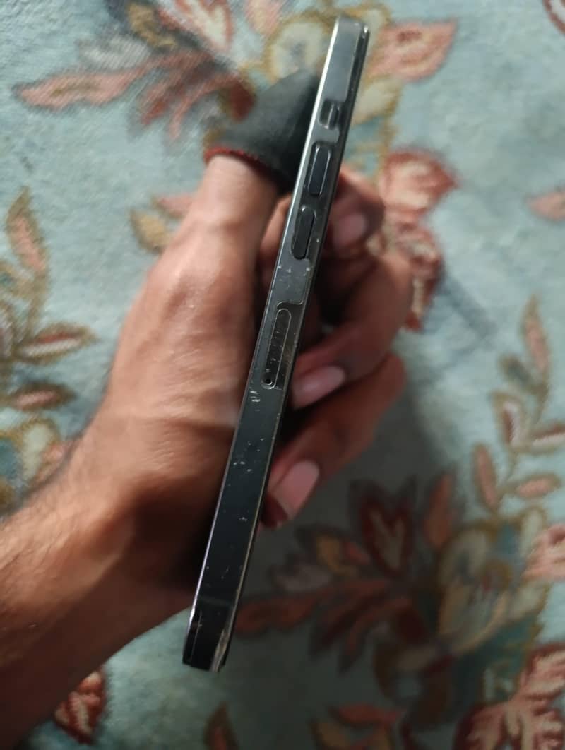 13 pro 1