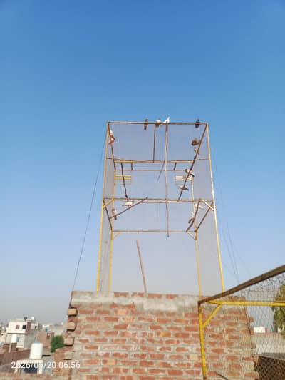 pgeion jail