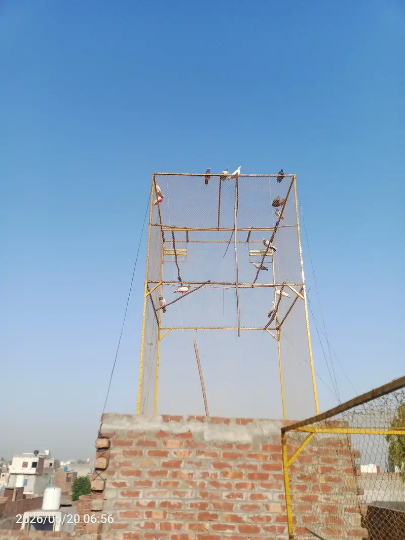 pgeion jail