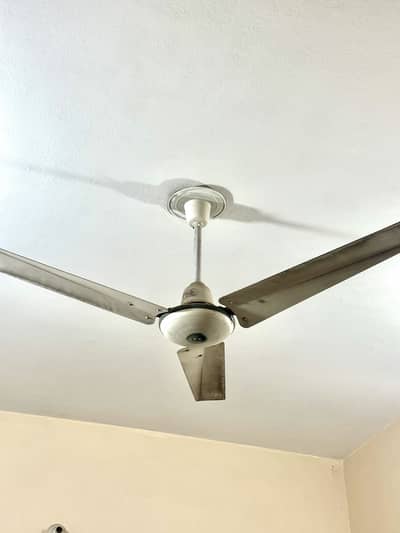 Ceiling fan original royal