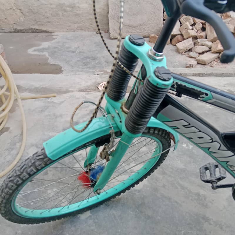 mountain bicycle 1