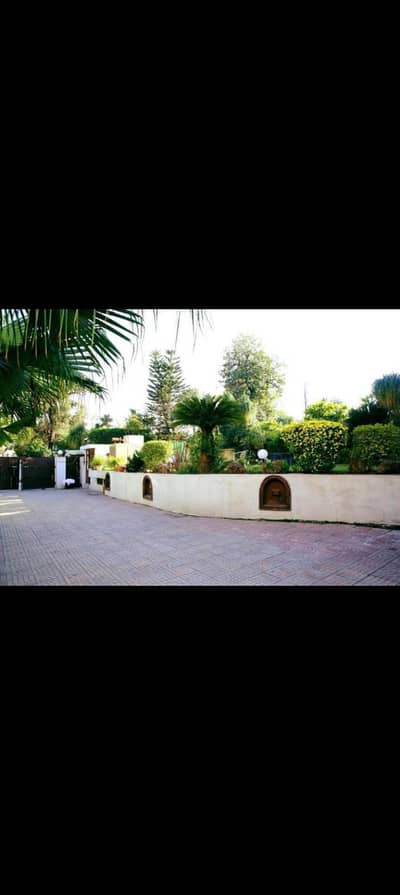 Amrood bag k lia mazdoor chayia