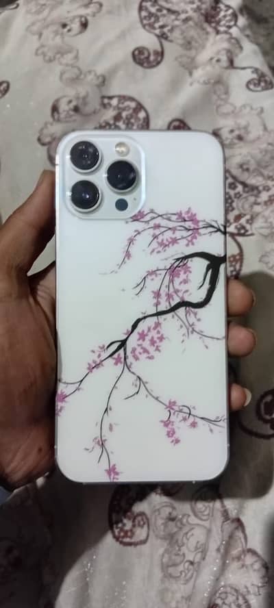 Iphone13 pro max