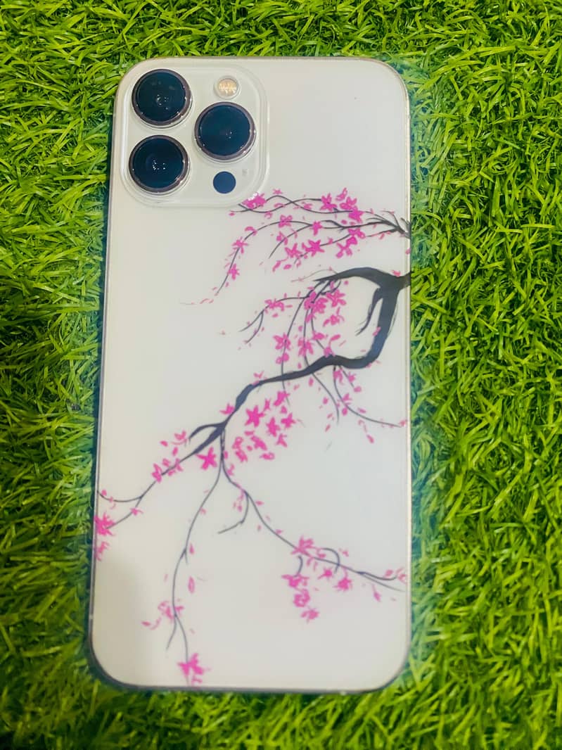 Iphone13 pro max 2