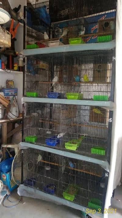 cage sale
