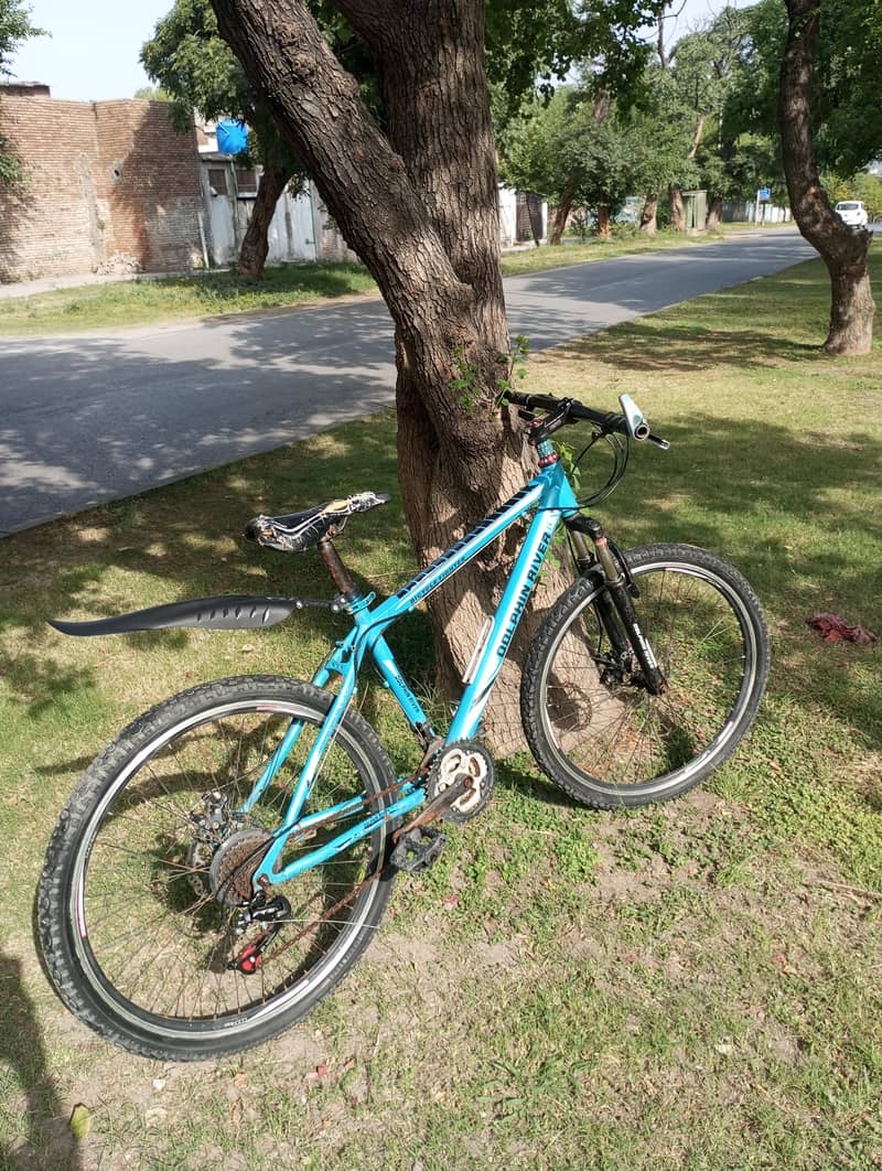 Bicycle 0