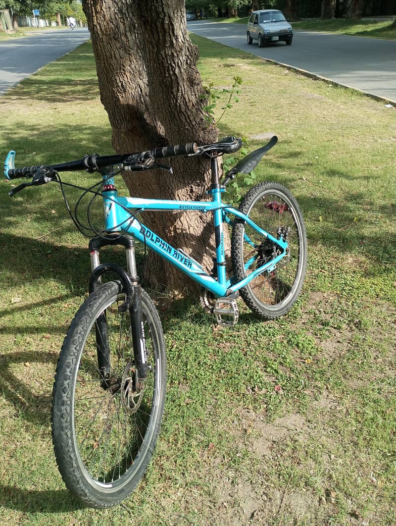 Bicycle 1