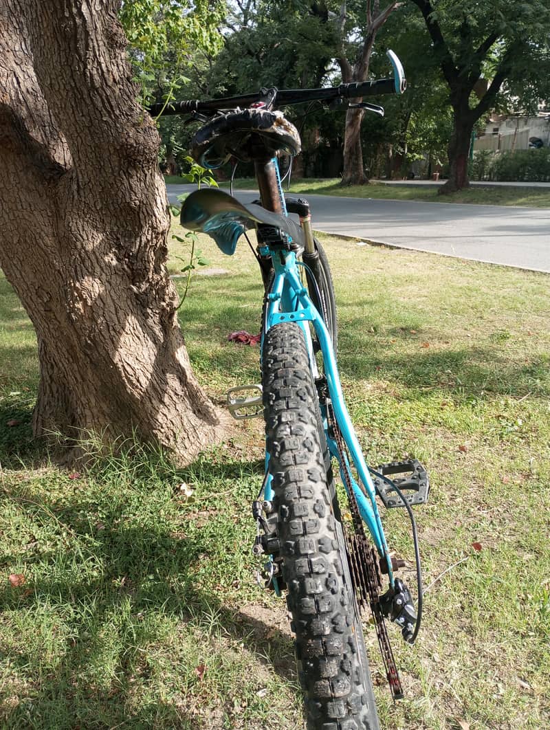 Bicycle 3