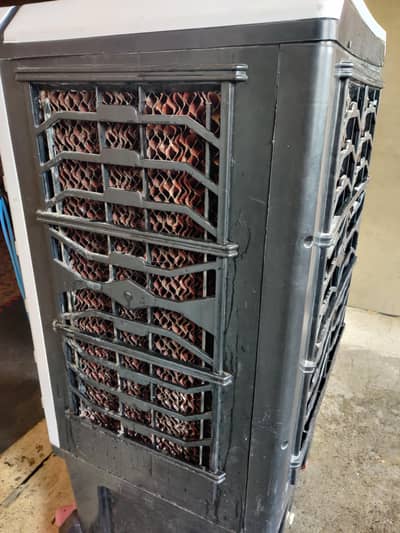 12 volt