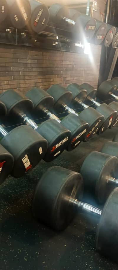 Iron Bull Dumbell Plates