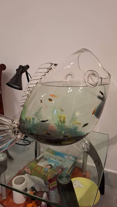 Unique Fish Aquarium for sale
