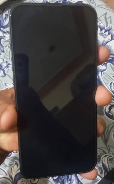 iPhone 13jv