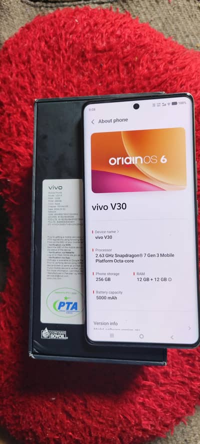 Vivo V30 5G 12/256