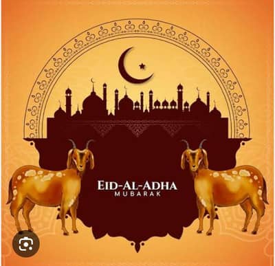  Professional Qasai Service For Qurbani 