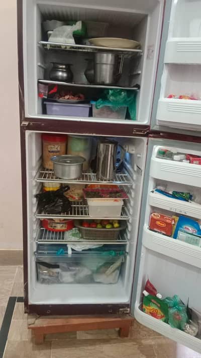 orient fridge large size