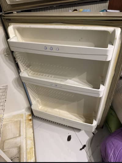 Haier fridge