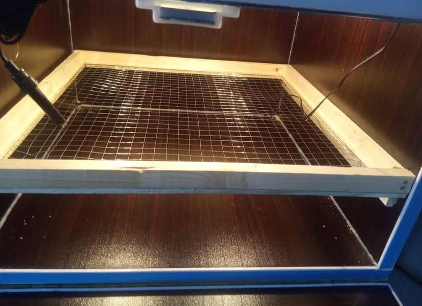 Automatic 80 Eggs Incubator 5