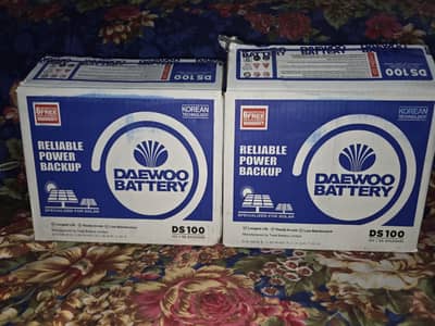DS 100 12v 65AH (20HR)