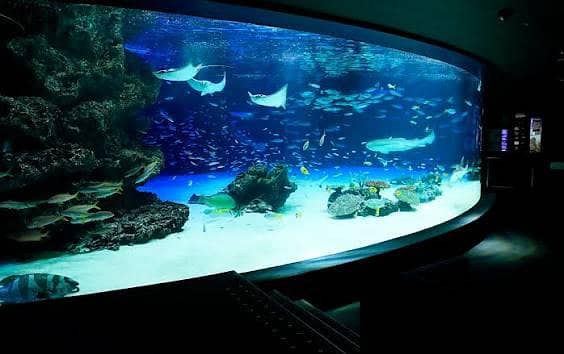 All Type Aquarium Services 2