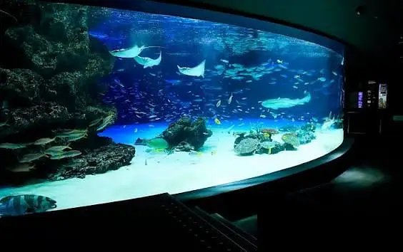 All Type Aquarium Services — photo 3
