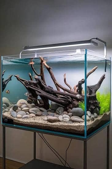 All Type Aquarium Services 4