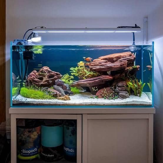 All Type Aquarium Services 5