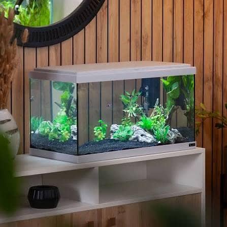 All Type Aquarium Services 6