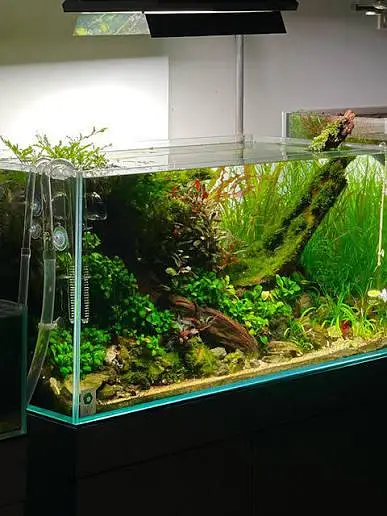 All Type Aquarium Services — photo 9