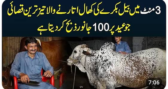 Qasai