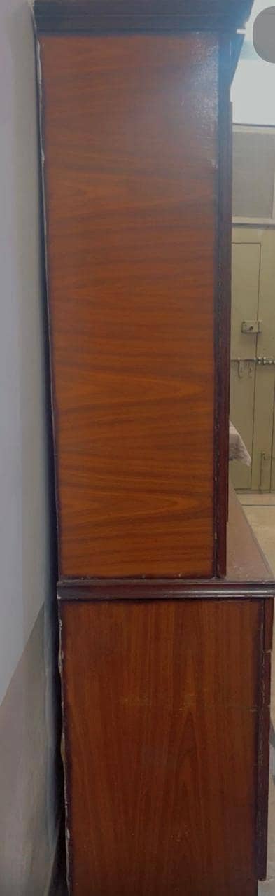 divider/Show Case 2