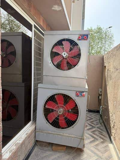 affordable prices for coolers