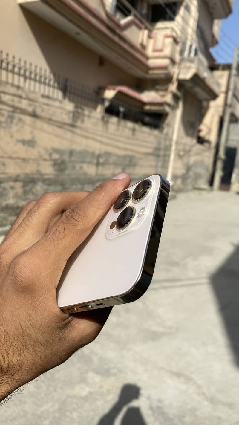 Iphone 13 Pro Max 1