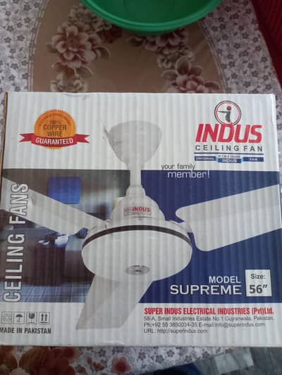 Ceiling Fans