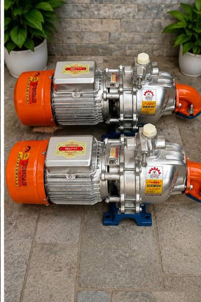 Asli Punjab double Ampelor pump For Sell