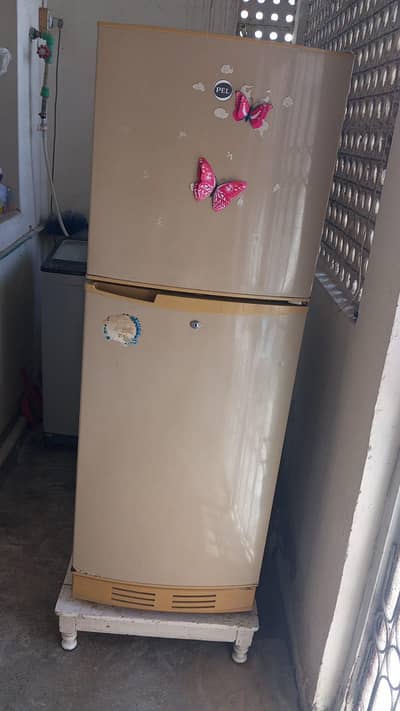 pel fridge for sale