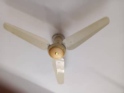Sk selling fan 56"