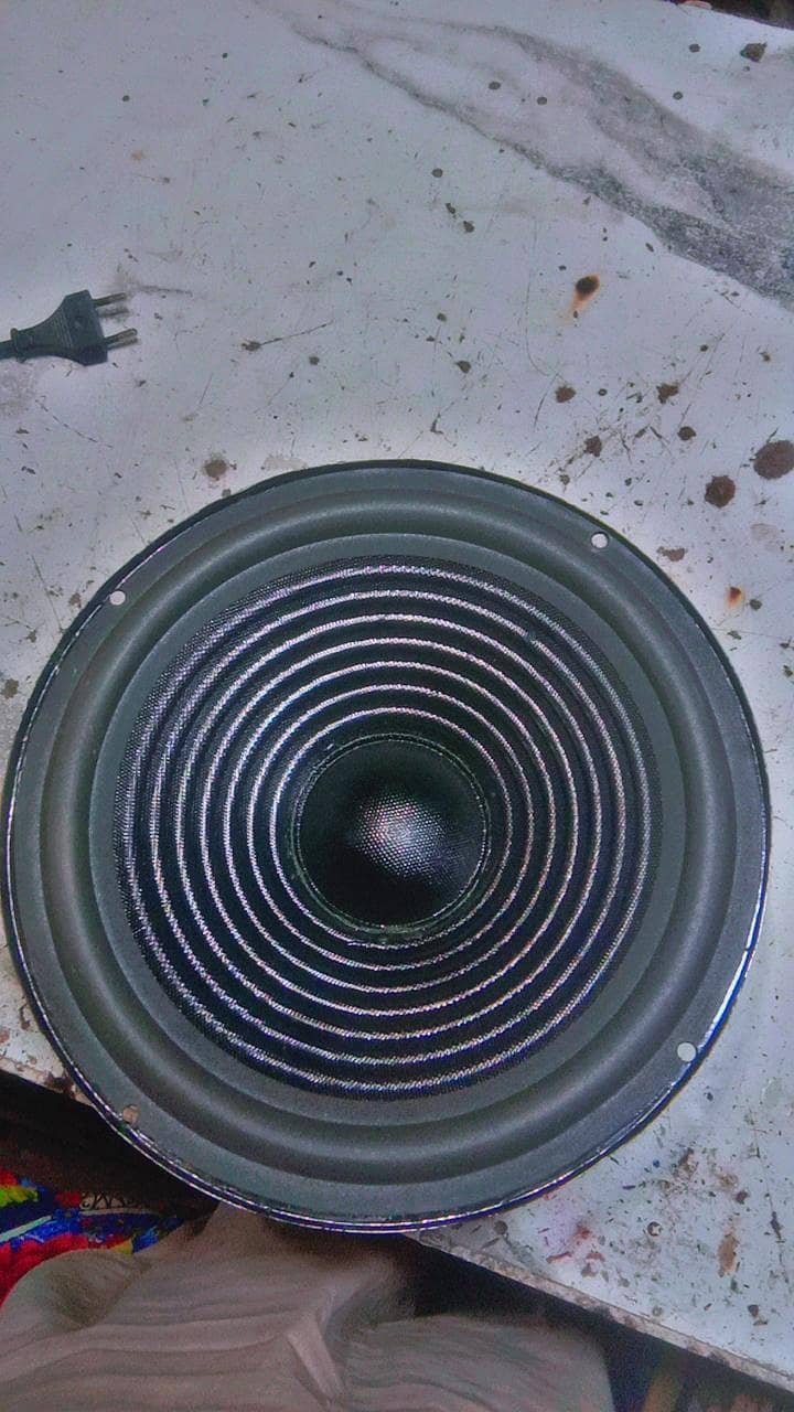 10inch speaker 0