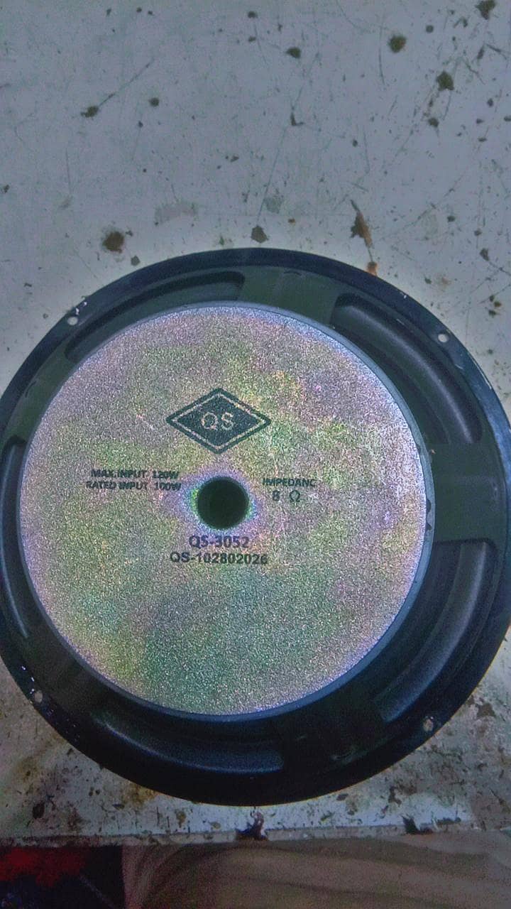 10inch speaker 2