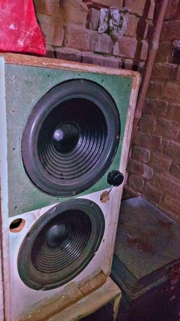 10inch speaker 3