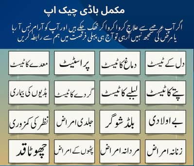 مزید معلومات کے لیے رابطہ کریں 03178272653