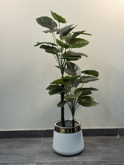 Artificial Plants & Fancy Pots Available 03227614339