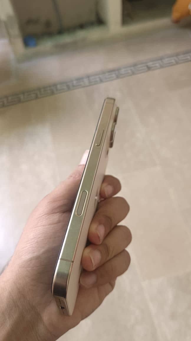 iPhone 16 Pro Max 2