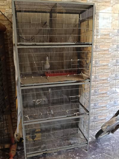 Bird Cage (پنجرا(