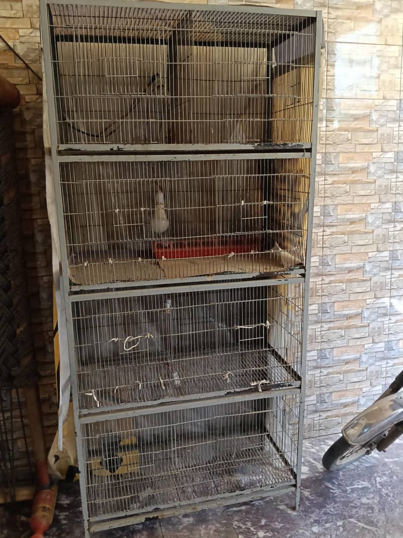 Bird Cage (پنجرا( 0