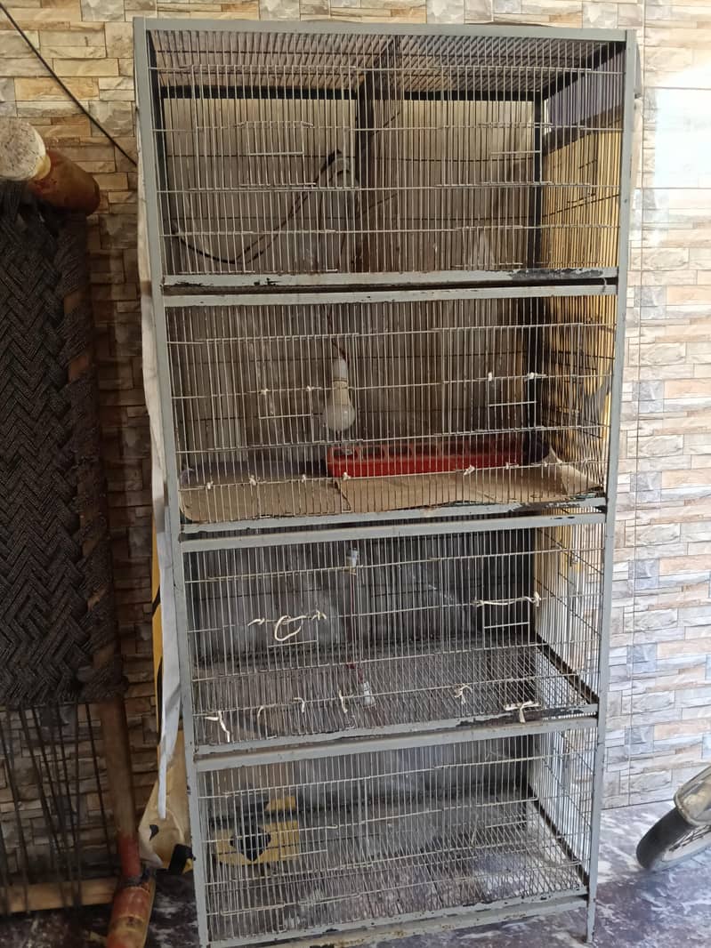 Bird Cage (پنجرا( 1