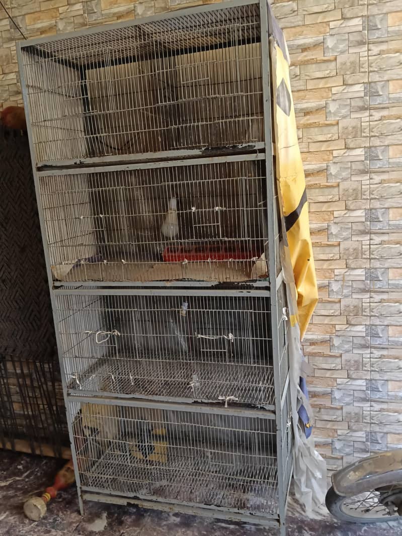 Bird Cage (پنجرا( 2