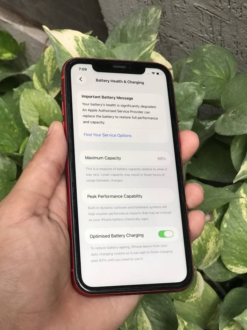 Iphone 11 0