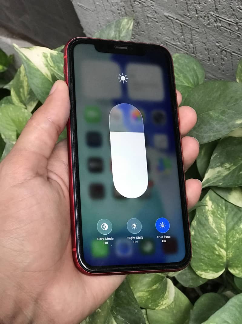 Iphone 11 6