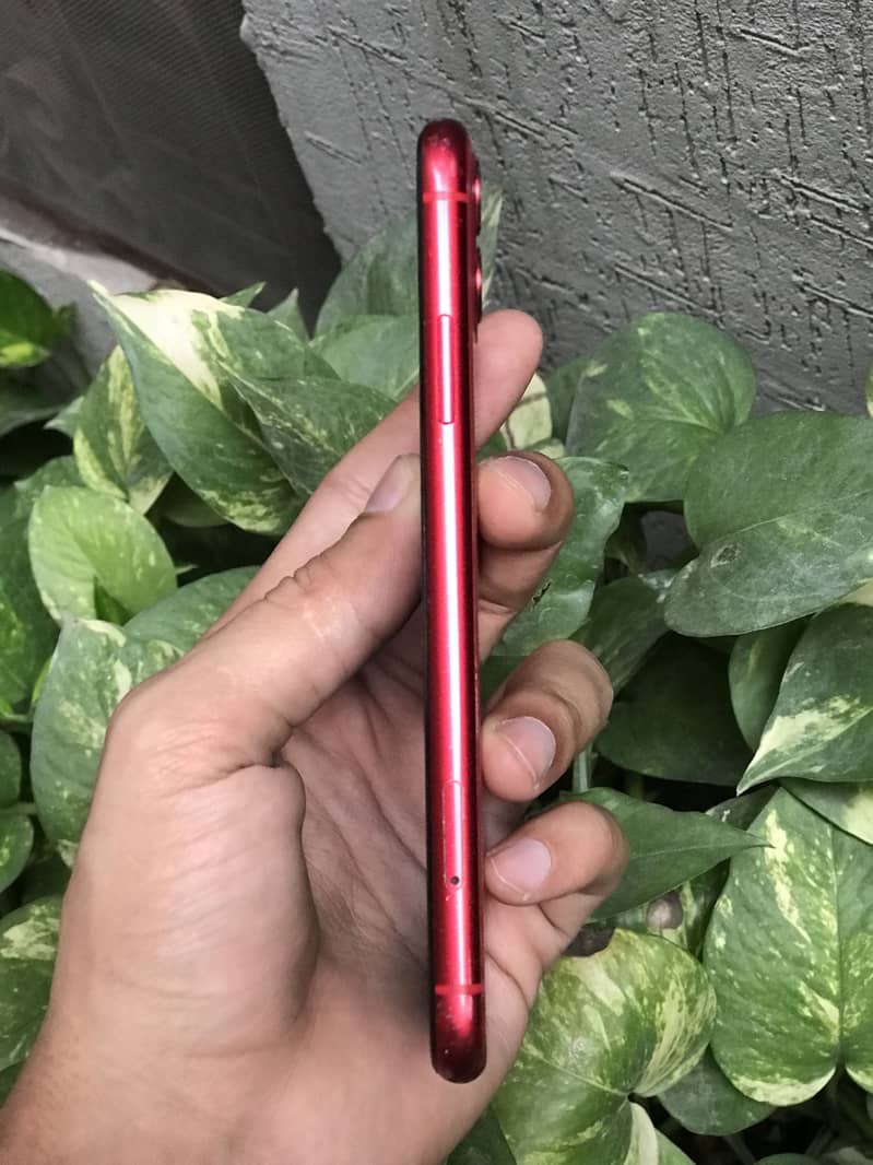 Iphone 11 6