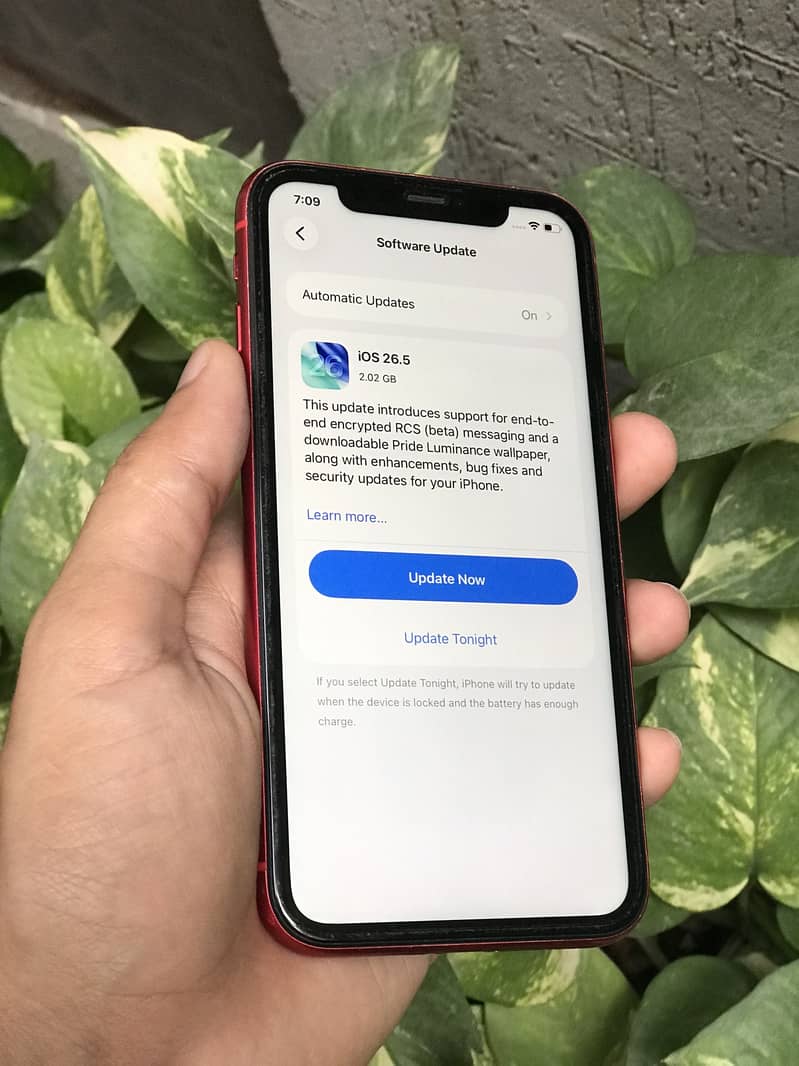 Iphone 11 7